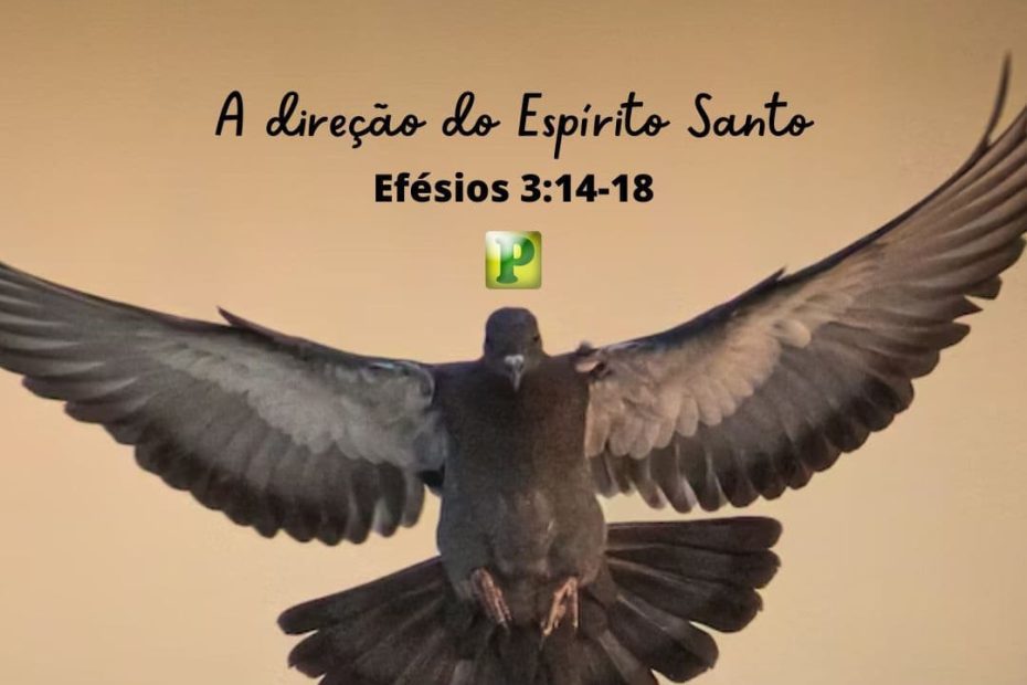 A direção do Espírito Santo - Efésios 3:14-18