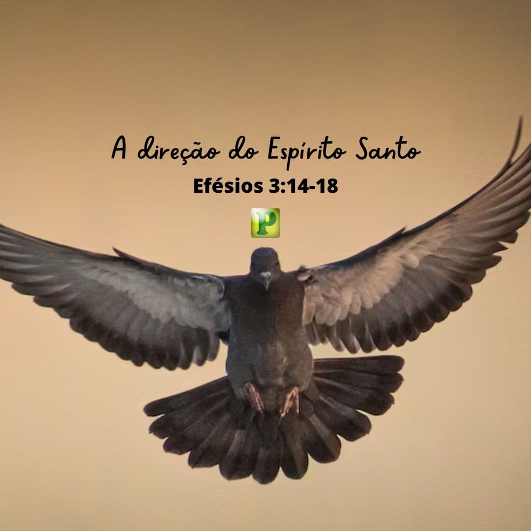 A direção do Espírito Santo - Efésios 3:14-18