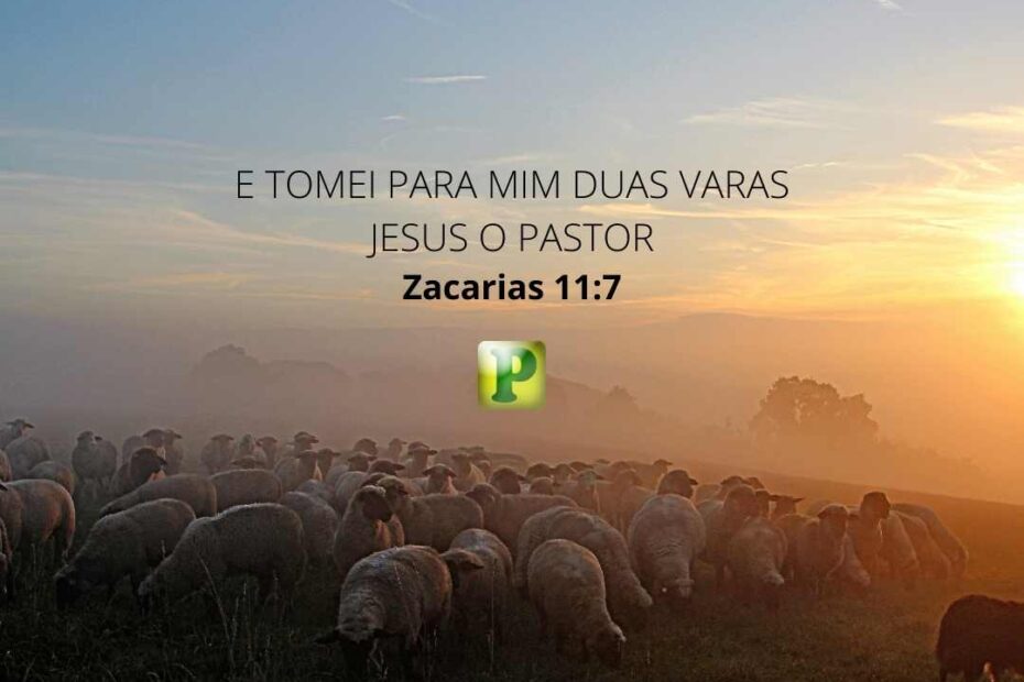 E tomei para mim duas varas - Zacarias 11:7