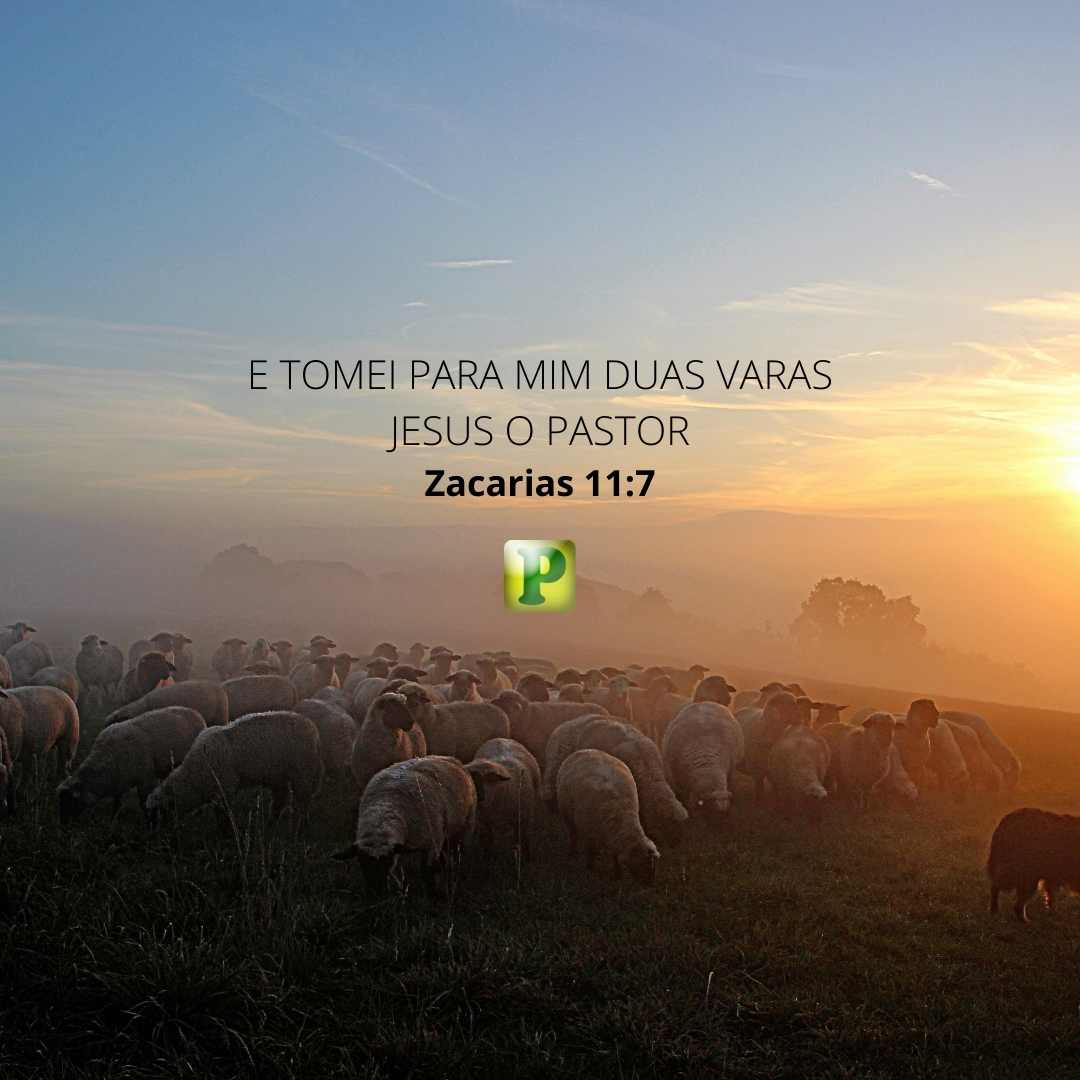 E tomei para mim duas varas - Zacarias 11:7