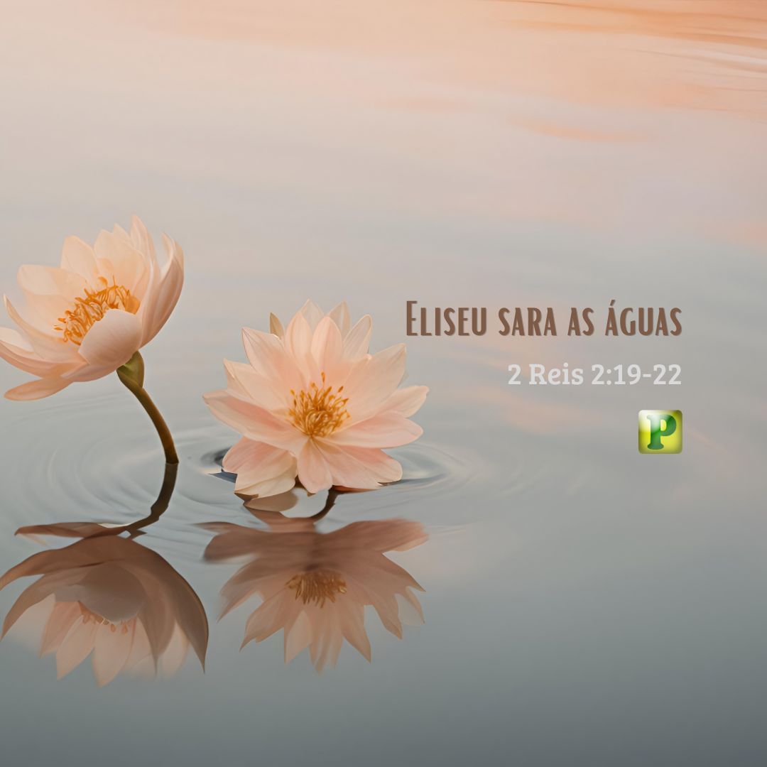Eliseu sara as águas - 2 Reis 2:19-22