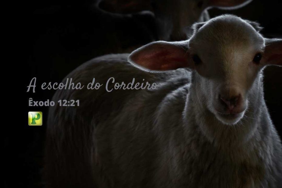 The choice of the Lamb - Exodus 12:21