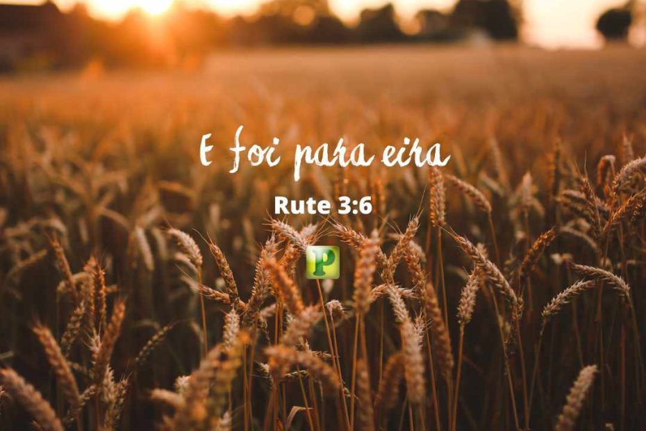 And he went to the threshing floor - Ruth 3:6 - Preaching