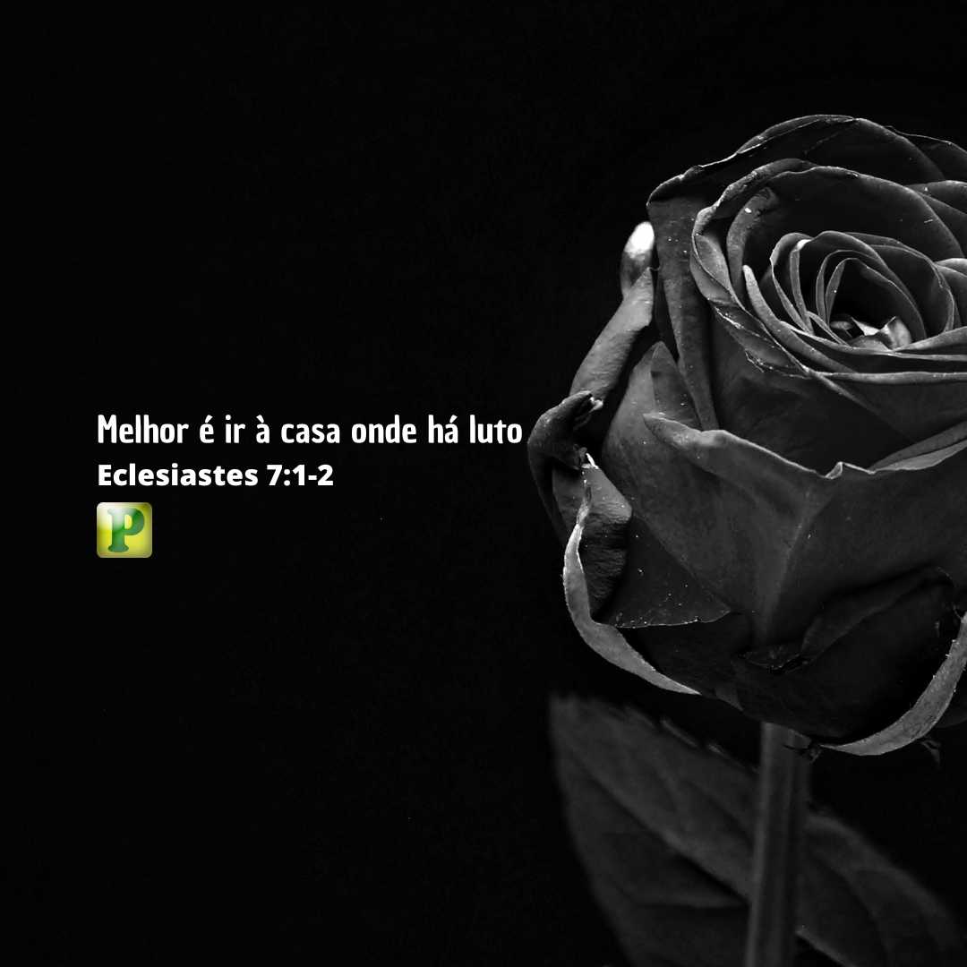 Melhor é ir à casa onde há luto - Eclesiastes 7:1-2