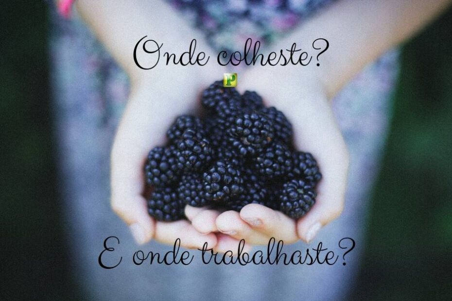 Rute 2:19 - Onde colheste e onde trabalhaste?