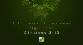 Salmos 51:10-17 Cria em mim um coração puro, ó Deus, e renova