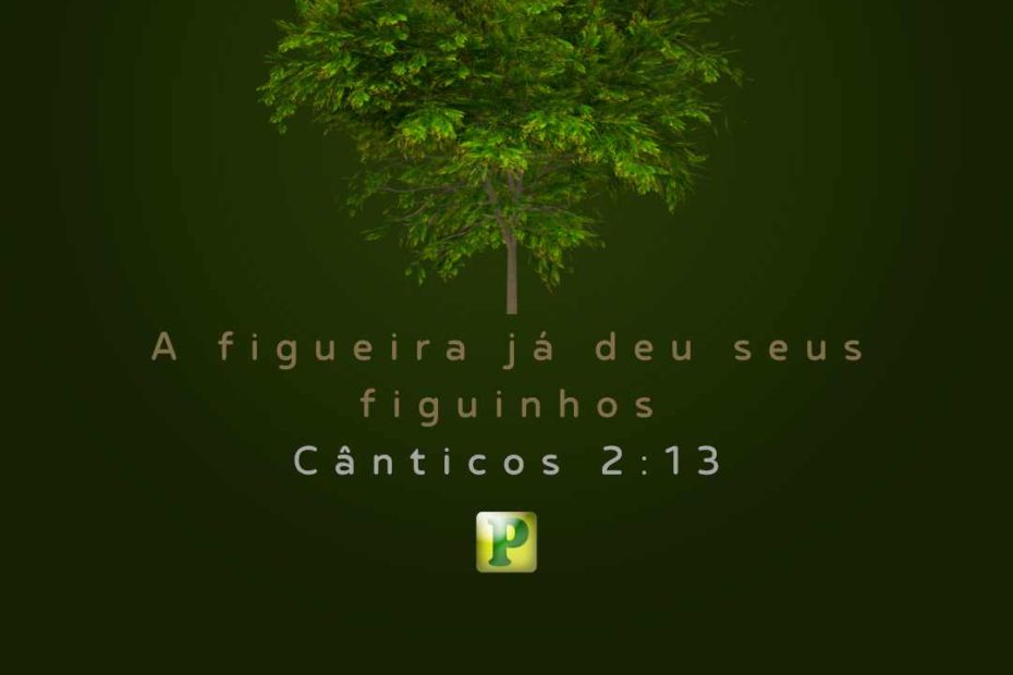 A figueira já deu seus figuinhos - Cânticos 213