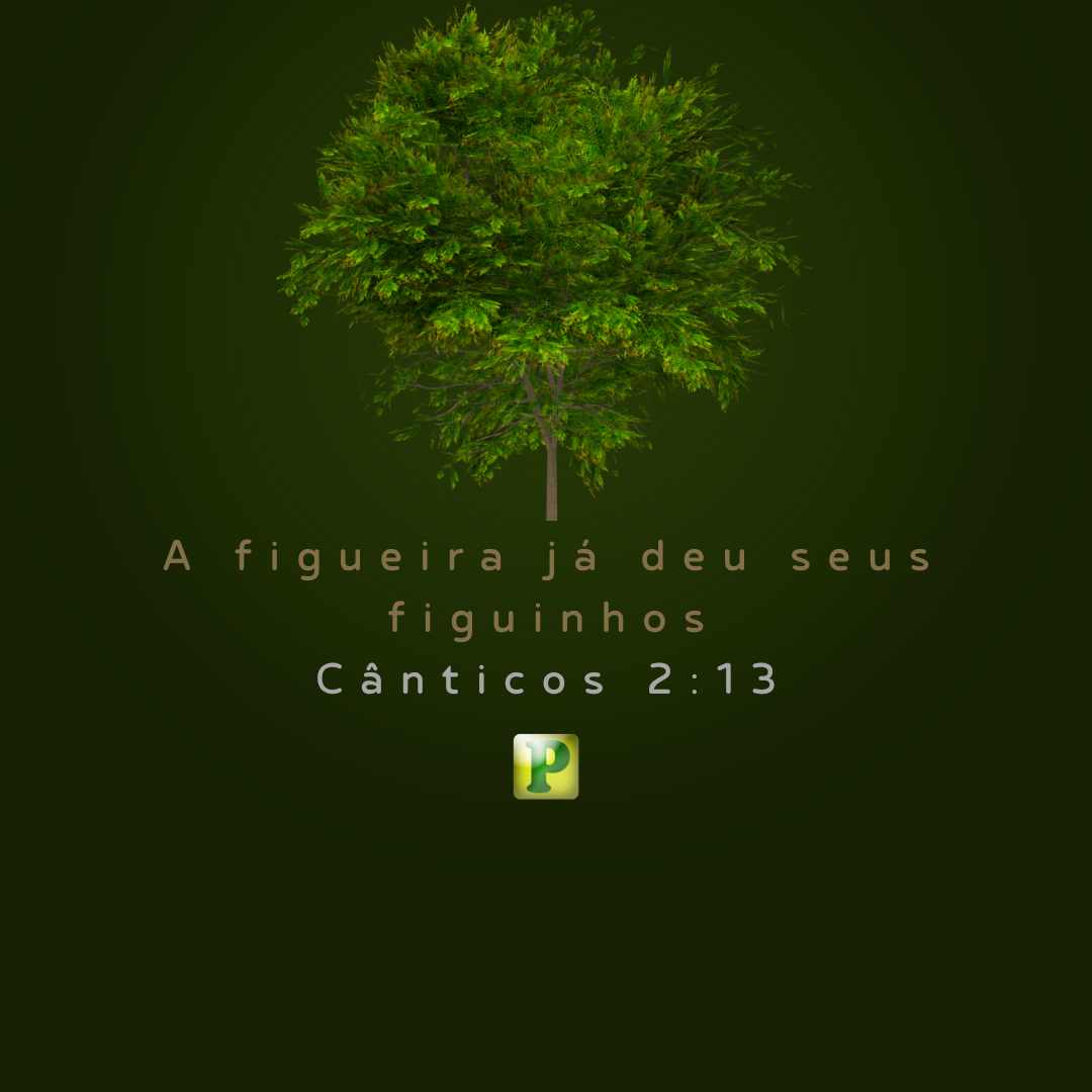 A figueira já deu seus figuinhos - Cânticos 213