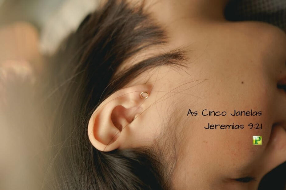 As Cinco Janelas - Jeremias 9:21