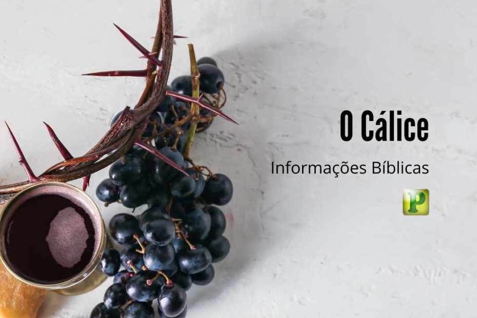 O Cálice - Informações Bíblicas