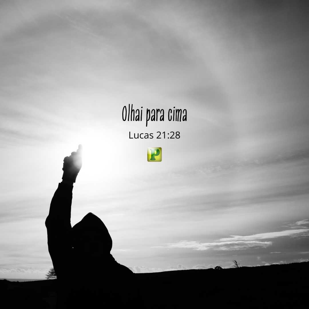 Olhai para cima Lucas 2128