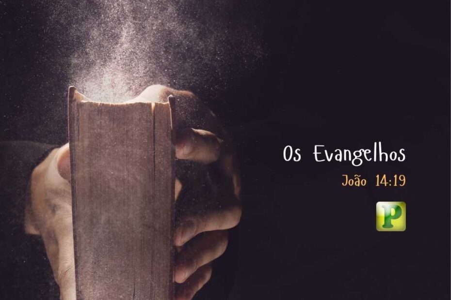 Os Evangelhos - João 14:19