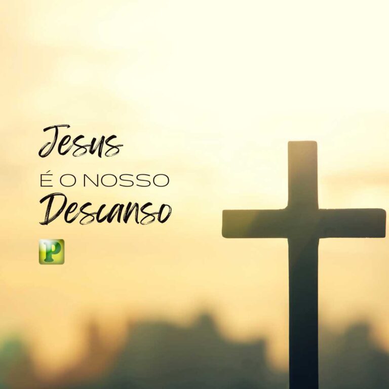 Jesus é o nosso descanso - João 11:29