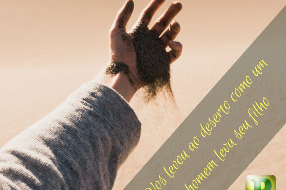 Vos levou ao deserto - Deuteronômio 1:31