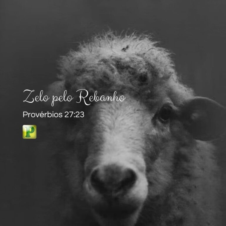 Zelo pelo Rebanho - Provérbios 27:23