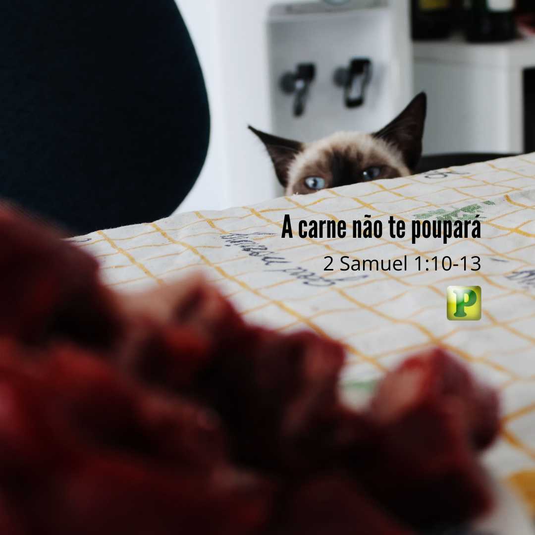 A carne não te poupará - Pregação Textual em 2 Samuel 1:10-13