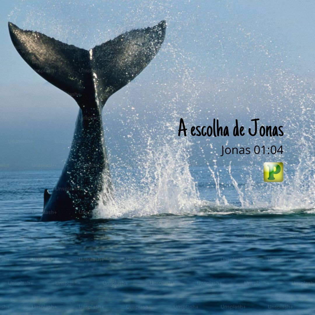 A escolha de Jonas - Pregação Expositiva em Jonas 01:04