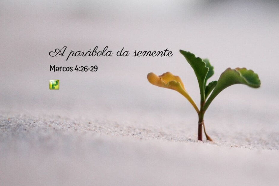 A parábola da semente - Marcos 4:26-29