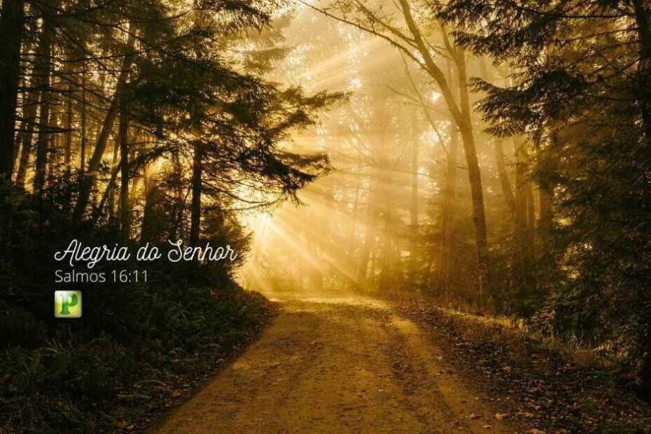 Alegria do Senhor - Salmos 16:11