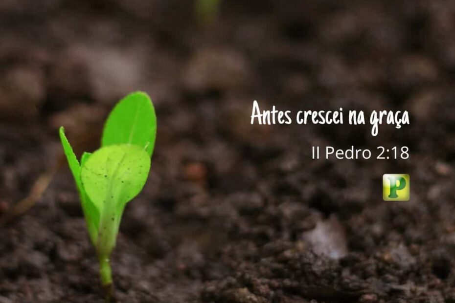 Antes crescei na graça - II Pedro 2:18