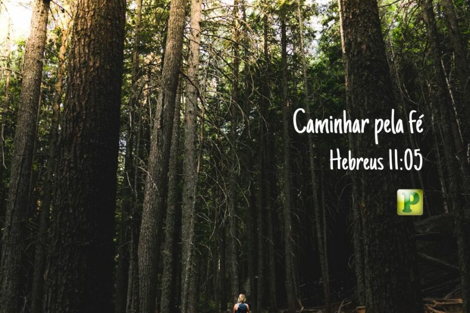 Caminhar pela fé Hebreus 11:05