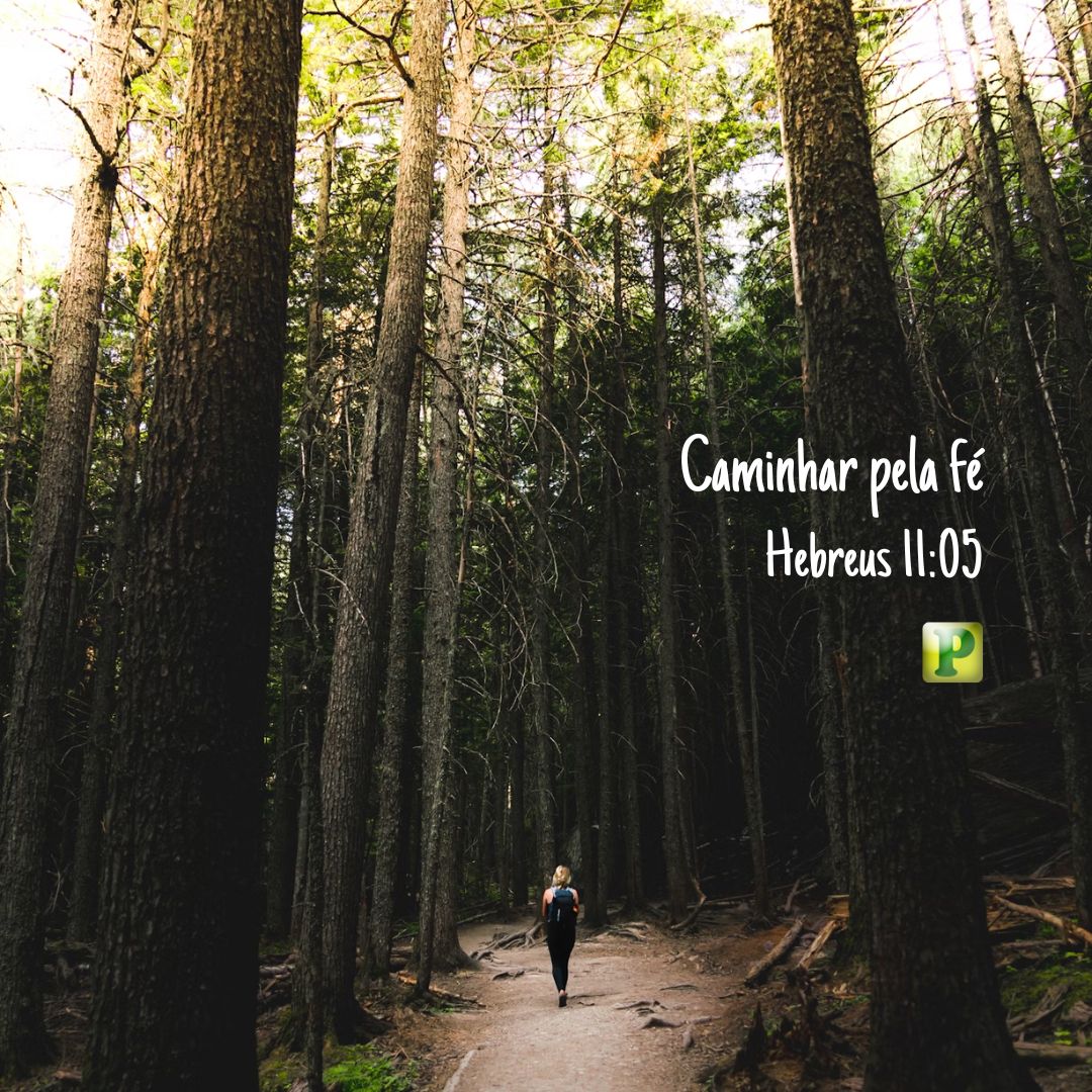 Caminhar pela fé - Pregação Textual Hebreus 11:5