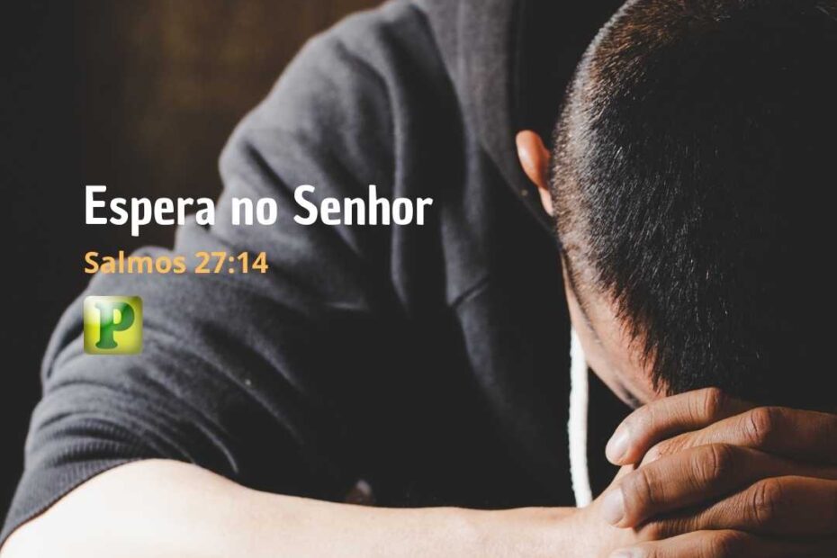 Espera no Senhor - Salmos 27:14