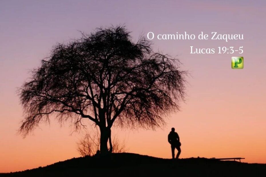 O caminho de Zaqueu - Esboço de Pregação em Lucas 19:3-5