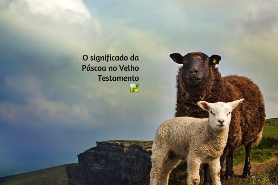 O significado da Páscoa no Velho Testamento - Êxodo 12:1-13