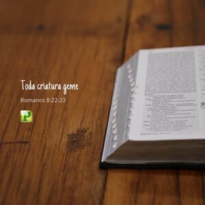 Toda criatura geme - Romanos 8:22-23