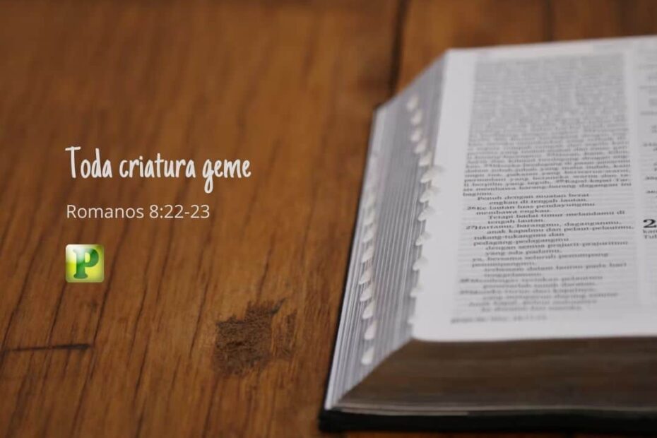 Toda criatura geme - Romanos 8:22-23