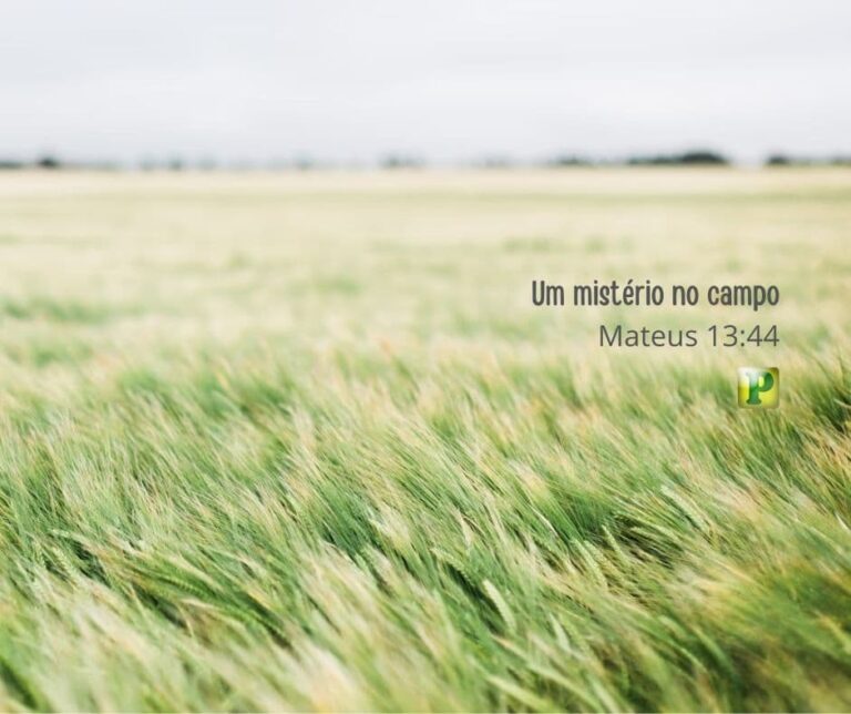 Um mistério no campo - Mateus 13:44
