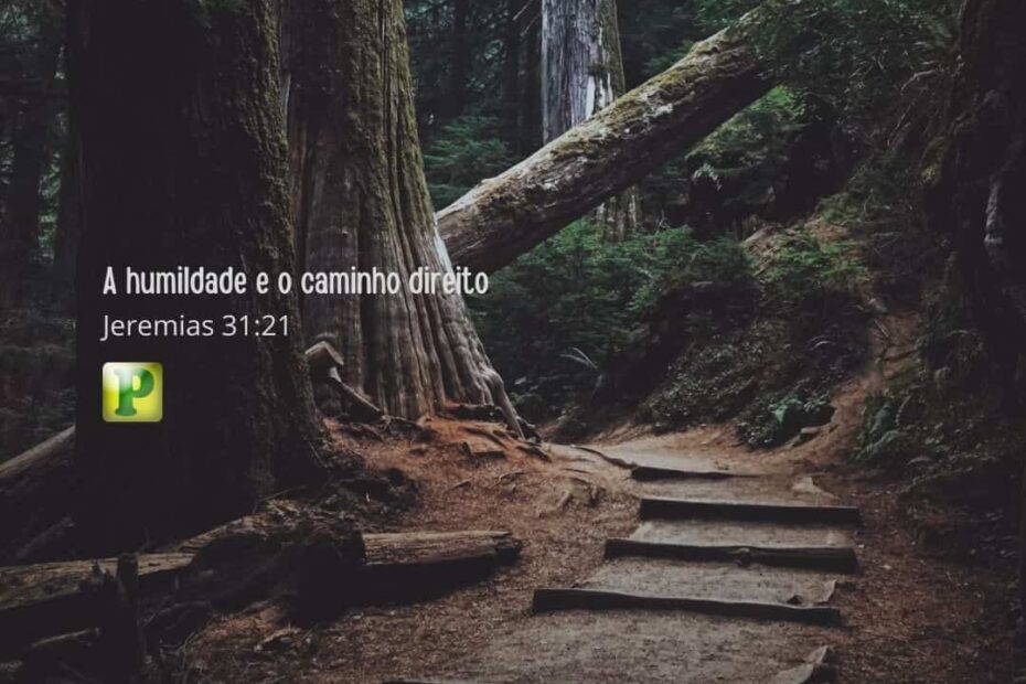 A humildade e o caminho direito Jeremias 31:21