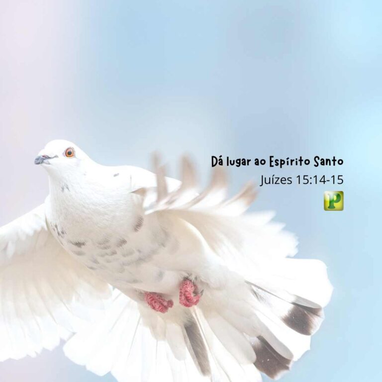 Dá lugar ao Espírito Santo - Juízes 15:14-15