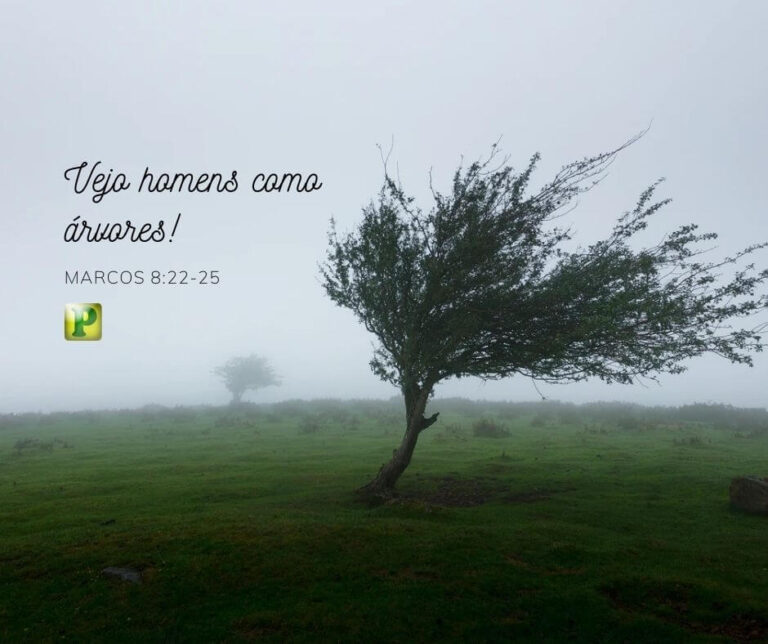 Homens como árvores! – Marcos 8:22-25