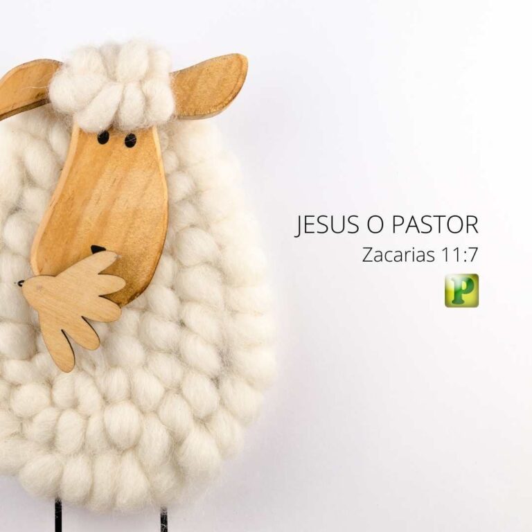 Jesus o Pastor - Zacarias 11:7