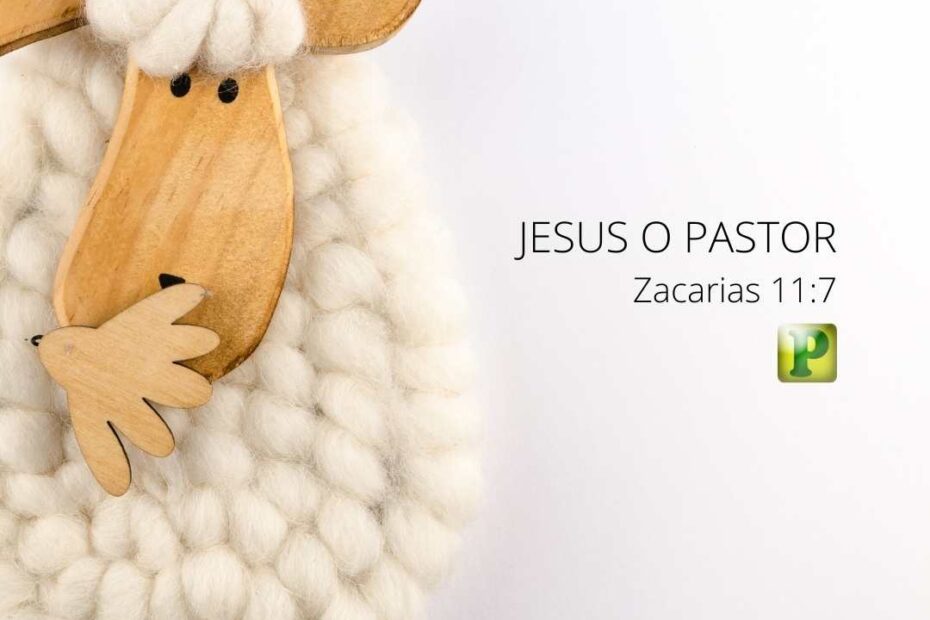 Jesus o Pastor - Zacarias 11:7