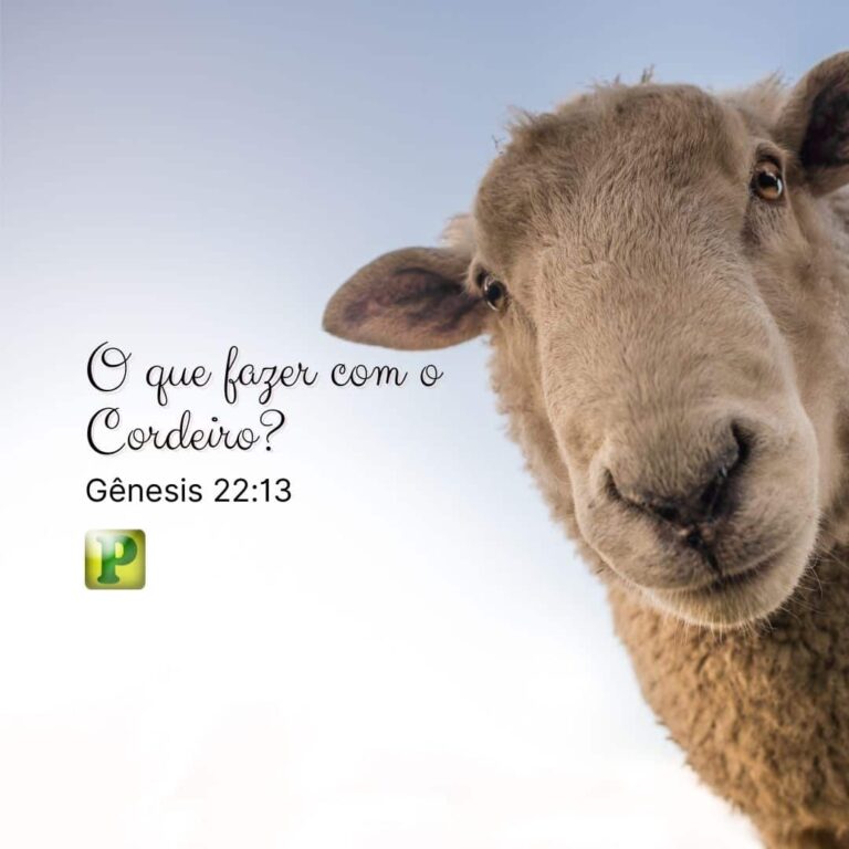 O que fazer com o cordeiro? - Gênesis 22:13