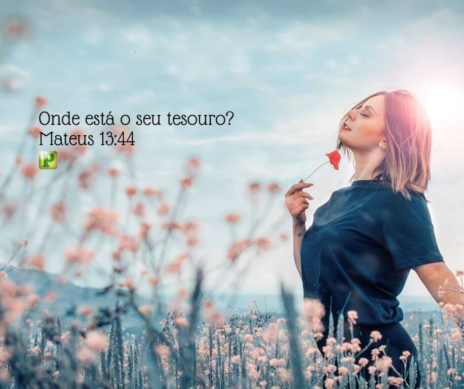 Onde está o seu tesouro? - Mateus 13:44