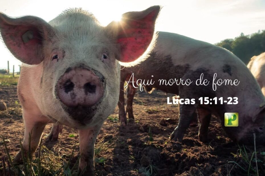Aqui morro de fome - Pregação Expositiva em Lucas 15:11-23