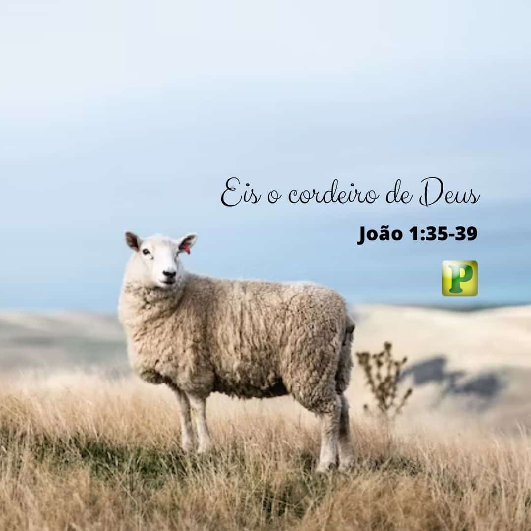Eis o cordeiro de Deus - Pregação Expositiva em João 1:35-39