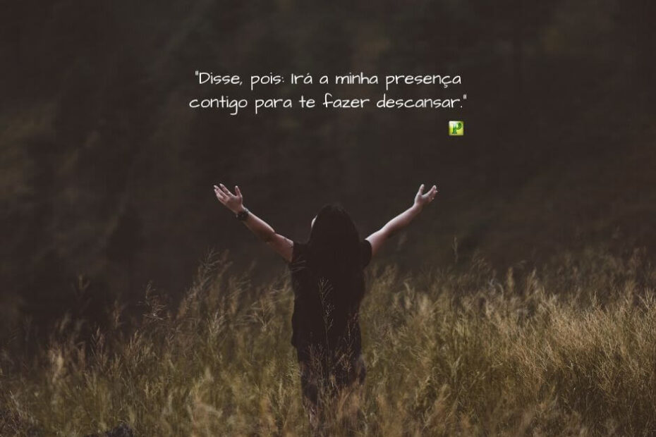 Êxodo 33:14 - Irá a minha presença contigo