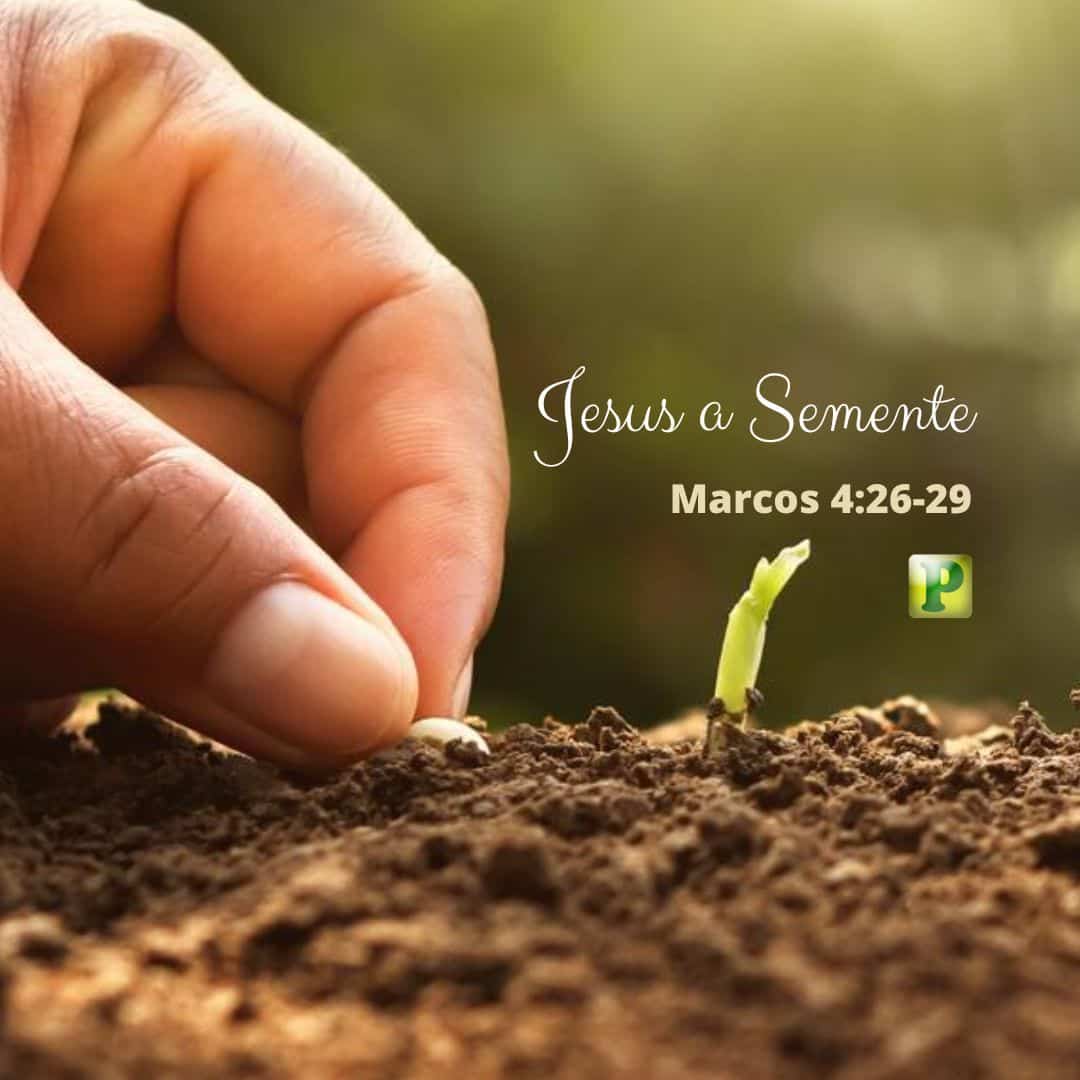 Jesus a Semente - Marcos 4:26-29