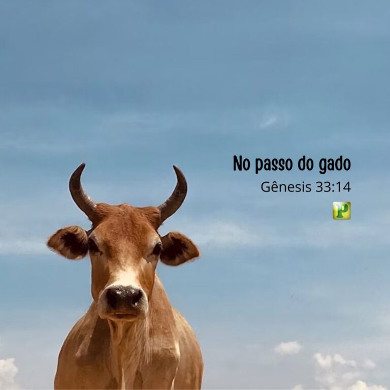 No passo do gado - Gênesis 33:14