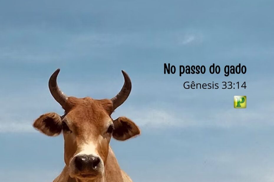 No passo do gado - Gênesis 33:14