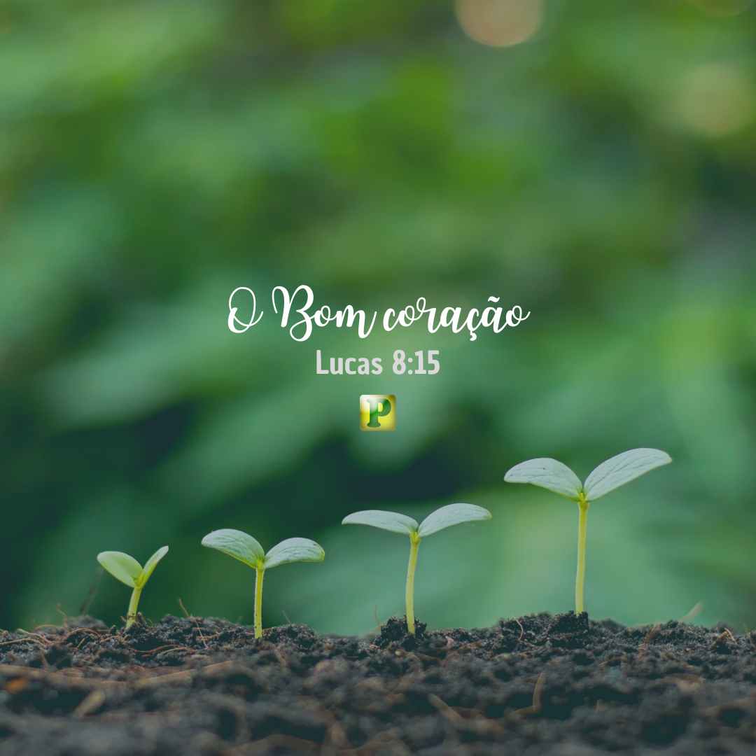 O Bom coração - Esboço de Pregação em Lucas 8:15