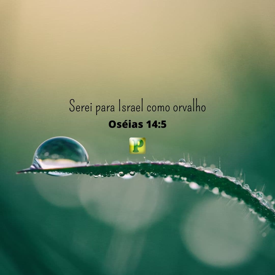 Serei para Israel como orvalho - Oséias 14:5