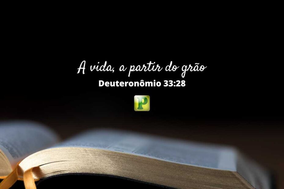A vida, a partir do grão - Pregação Expositiva em Deuteronômio 33:28