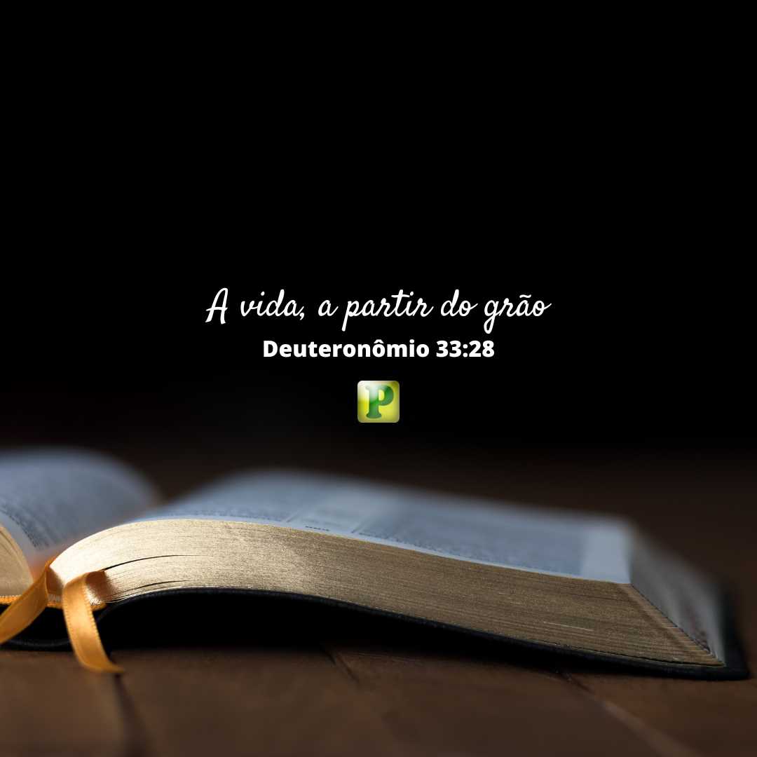 A vida, a partir do grão - Pregação Expositiva em Deuteronômio 33:28