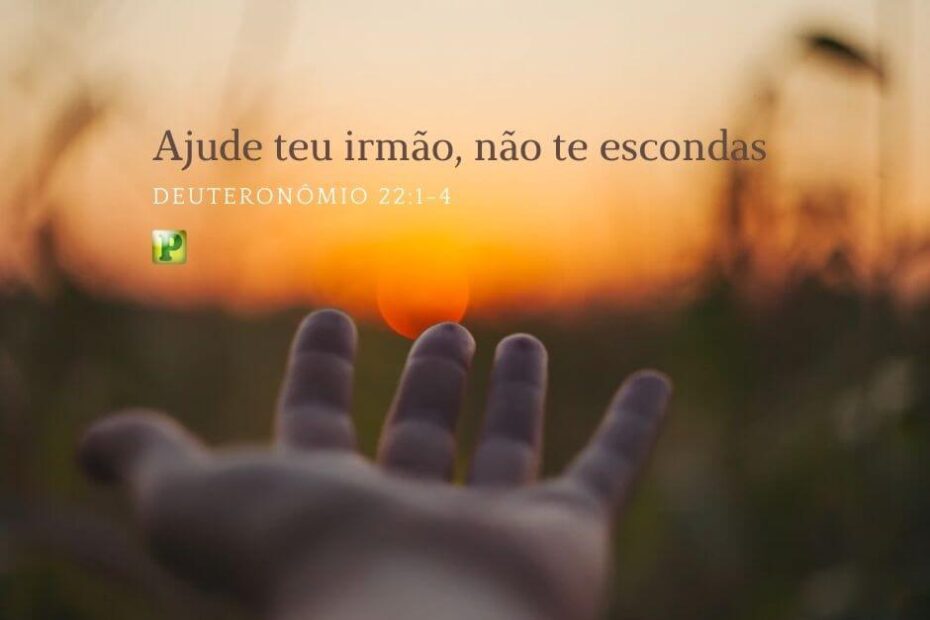 Ajude teu irmão, não te escondas - Pregação Expositiva em Deuteronômio 22:1-4